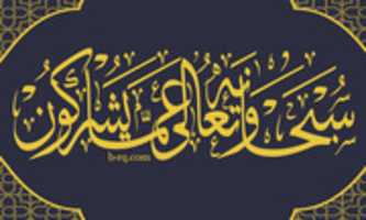 Free download 255563 free photo or picture to be edited with GIMP online image editor