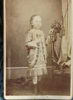 Free download 290966541013 free photo or picture to be edited with GIMP online image editor