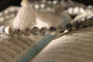 Free download 297381 230708316988742 186286991430875 614409 1863131866 N free photo or picture to be edited with GIMP online image editor