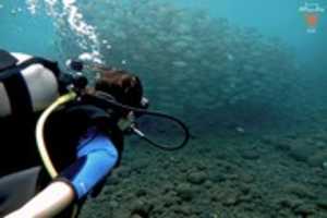 Free download 30716415 1479487002160125 7232903322225606656 N free photo or picture to be edited with GIMP online image editor