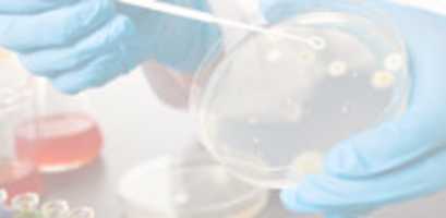 Free download 31 1 free photo or picture to be edited with GIMP online image editor