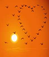 Free download 314b 61b 7554f 166d 7aa 16daa 7db 0c 72b free photo or picture to be edited with GIMP online image editor