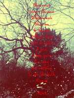 Free download 325583 ED 35 EB 40 F 4 B 6 B 4 863 FAE 54 C 6 A 9 free photo or picture to be edited with GIMP online image editor