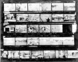 Free download 35 mm Contact Sheet free photo or picture to be edited with GIMP online image editor