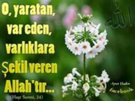Free download 38 Ayet Hadis Dua Muhtelif Halis Atilla 9 Mart 2016 free photo or picture to be edited with GIMP online image editor