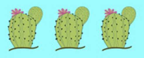 Free download 3cactus free photo or picture to be edited with GIMP online image editor