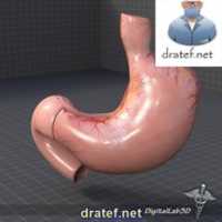 Free download 3D Anatomy (dratef.net) free photo or picture to be edited with GIMP online image editor