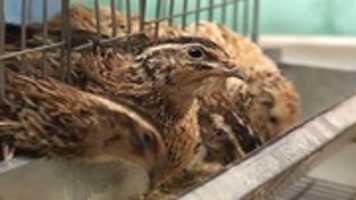 41247-20160618 GIMP online editor free Free download 41247-20160618 free photo or picture to be edited with GIMP online image editor