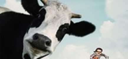 Free download 41247-20160706 free photo or picture to be edited with GIMP online image editor