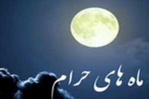 Free download 41250-20160626 free photo or picture to be edited with GIMP online image editor