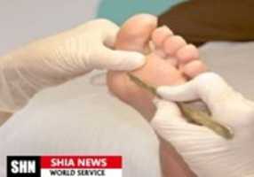 Free download 41321-20160716 free photo or picture to be edited with GIMP online image editor