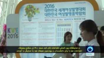 41353-20160620 GIMP online editor free Free download 41353-20160620 free photo or picture to be edited with GIMP online image editor