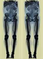 Free download 4352213271 48f 4221740 O free photo or picture to be edited with GIMP online image editor