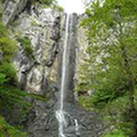 Free download 44254 free photo or picture to be edited with GIMP online image editor