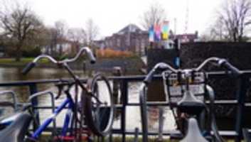 Free download 4x De Hortus in Amsterdam, the Netherlands free photo or picture to be edited with GIMP online image editor