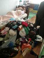 Free download 565656565 free photo or picture to be edited with GIMP online image editor