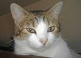 Free download 704546 1200973860 free photo or picture to be edited with GIMP online image editor