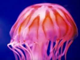 Free download 7089= 9= free photo or picture to be edited with GIMP online image editor