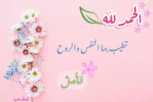 Free download 734 A 21 C 1 CF 73 43 CF 94 DA 2844 D 111 B 3 B 1 free photo or picture to be edited with GIMP online image editor
