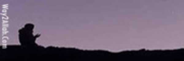 Free download 8888 free photo or picture to be edited with GIMP online image editor