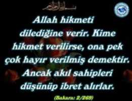 Free download 89 Ayet Hadis Dua Muhtelif Halis Atilla 20 Mart 2016 free photo or picture to be edited with GIMP online image editor