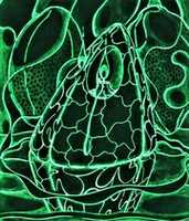 Free download #8 Shamans Cave free photo or picture to be edited with GIMP online image editor