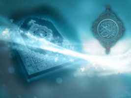 Free download 96 B 4 CA 80 E 53 F 4 A 29 94 F 1 153 B 842 D 7155 free photo or picture to be edited with GIMP online image editor