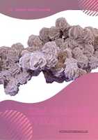 Free download A 4 Desert Rose Cluster free photo or picture to be edited with GIMP online image editor