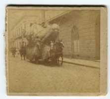 Free download AAJAS Foto 0057 free photo or picture to be edited with GIMP online image editor