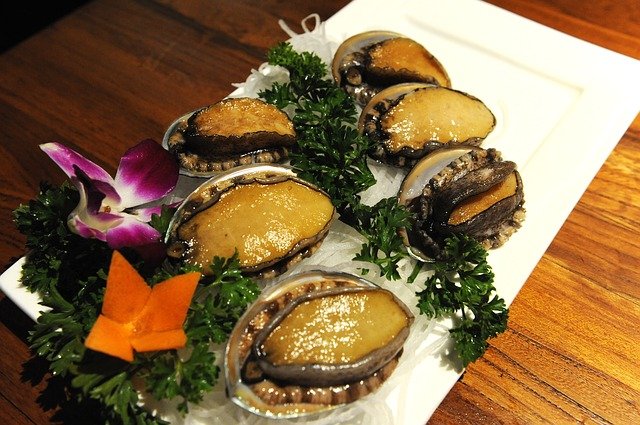 Free download abalone abalone 2 abalone 3 abalone free picture to be edited with GIMP free online image editor