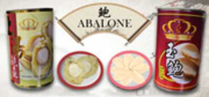 Free download Abalone Banner free photo or picture to be edited with GIMP online image editor