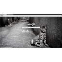 Abandoned cat  screen for extension Chrome web store in OffiDocs Chromium