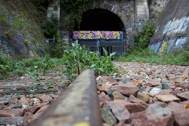 Безкоштовно завантажити безкоштовний шаблон залишених старих фотографій для редагування в онлайн-редакторі зображень GIMP