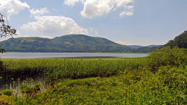 Скачать бесплатно Abant Bolu Forest - бесплатное фото или изображение для редактирования с помощью онлайн-редактора изображений GIMP