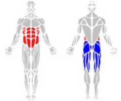 Free download ab_exercises free photo or picture to be edited with GIMP online image editor