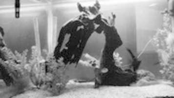 Free download Abismo  free photo or picture to be edited with GIMP online image editor