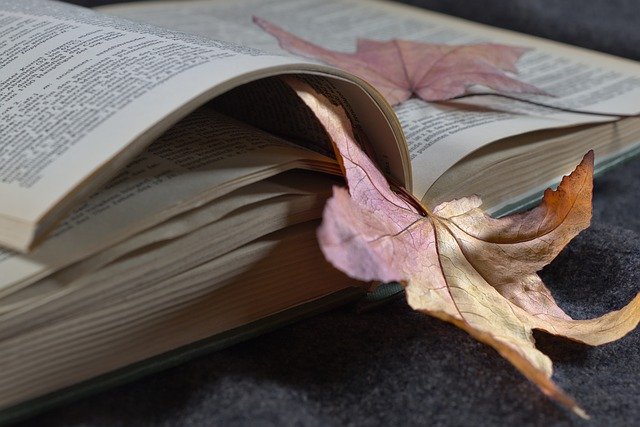 Free download a book pages maple leaf read free picture to be edited with GIMP free online image editor