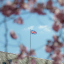A british flag flies over the palace of london  screen for extension Chrome web store in OffiDocs Chromium