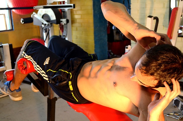 Free download abs gym exercise athlete horse free picture to be edited with GIMP free online image editor