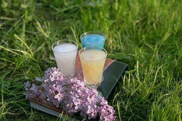 Bezpłatne pobieranie Absinthe Camping Glass Still - bezpłatne zdjęcie lub obraz do edycji za pomocą internetowego edytora obrazów GIMP