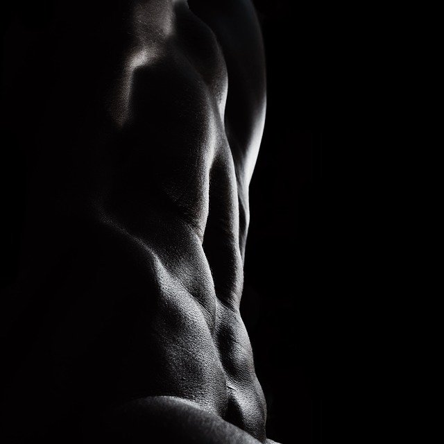 Free download abs nude bodyscape gym gymbunny free picture to be edited with GIMP free online image editor
