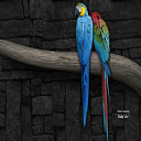 abstract parrot  screen for extension Chrome web store in OffiDocs Chromium
