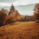 A Cabin in the Woods  screen for extension Chrome web store in OffiDocs Chromium