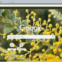 Acacia  screen for extension Chrome web store in OffiDocs Chromium