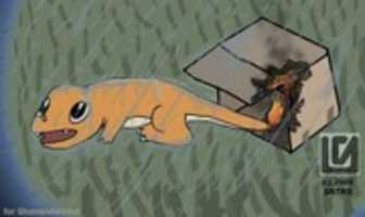 Free download A Charmander dying in the rain by Glumandafeind free photo or picture to be edited with GIMP online image editor