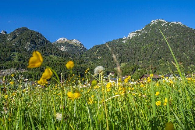 دانلود رایگان کوه های Achensee Austria - عکس یا تصویر رایگان برای ویرایش با ویرایشگر تصویر آنلاین GIMP