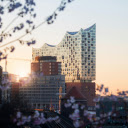 A city skyline with buildings and trees in the foreground  screen for extension Chrome web store in OffiDocs Chromium