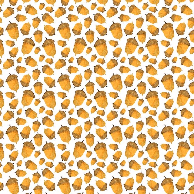 Free download Acorn Pattern Hand Drawn -  free illustration to be edited with GIMP free online image editor