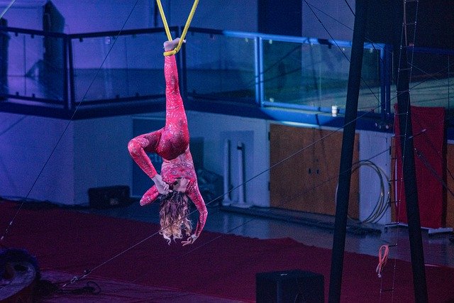 Free download Acrobat Pink Circus -  free free photo or picture to be edited with GIMP online image editor