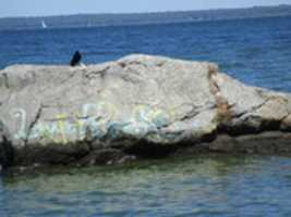 Free download A Crow at the North Kingstown Town Beach Rock free photo or picture to be edited with GIMP online image editor